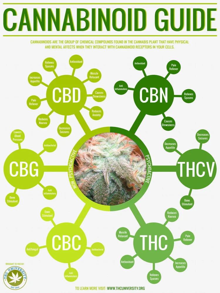 cannabinoids.jpg
